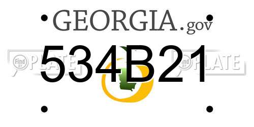534B21 Georgia License Plate