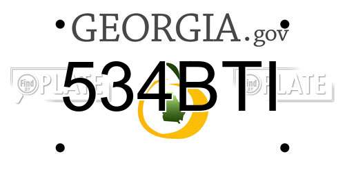 534BTI Georgia License Plate