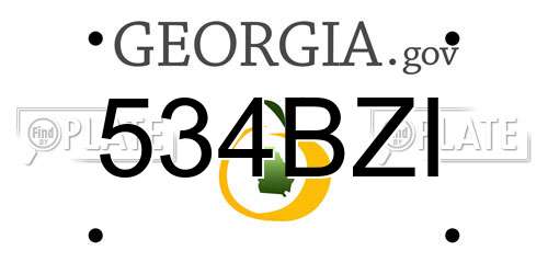 534BZI Georgia License Plate
