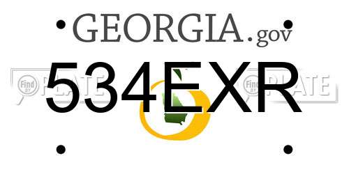 534EXR Georgia License Plate