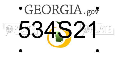 534S21 Georgia License Plate