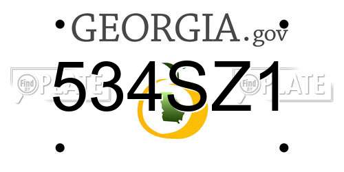 534SZ1 Georgia License Plate