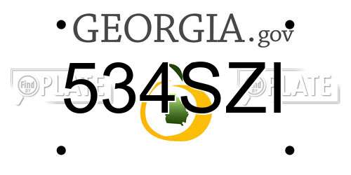 534SZI Georgia License Plate