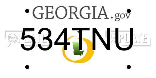 534TNU Georgia License Plate