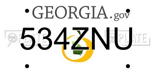 534ZNU Georgia License Plate