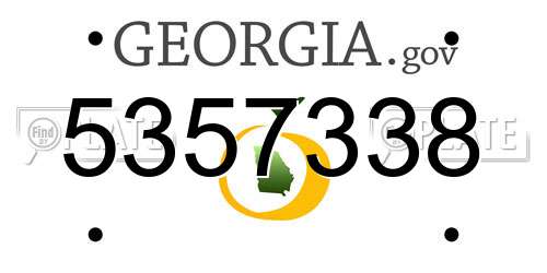 5357338 Georgia License Plate