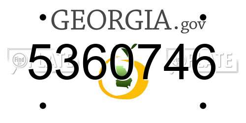 5360746 Georgia License Plate