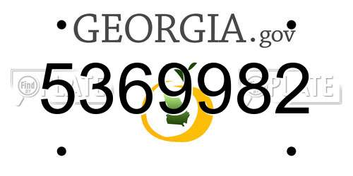 5369982 Georgia License Plate