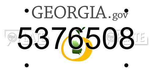 5376508 Georgia License Plate