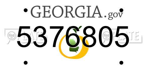 5376805 Georgia License Plate