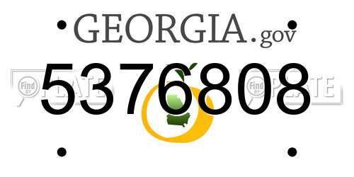 5376808 Georgia License Plate
