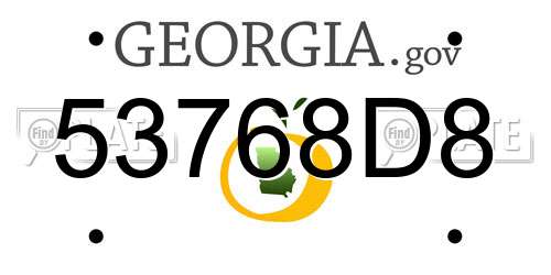 53768D8 Georgia License Plate