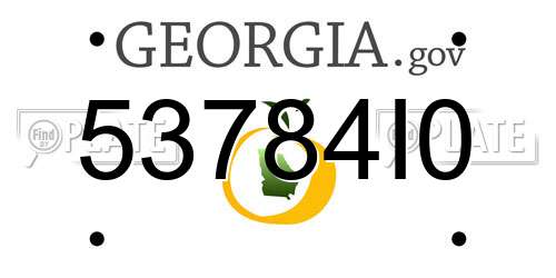 53784I0 Georgia License Plate