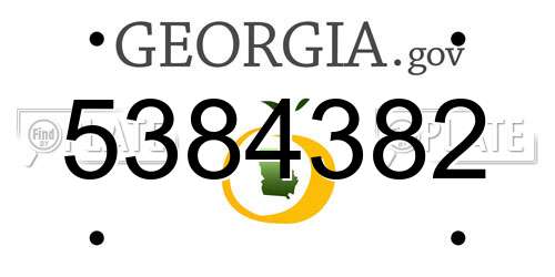 5384382 Georgia License Plate
