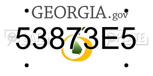 53873E5 Georgia License Plate