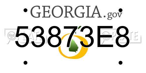 53873E8 Georgia License Plate