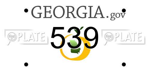 539 Georgia License Plate