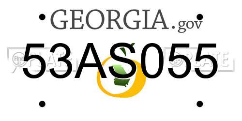 53AS055 Georgia License Plate