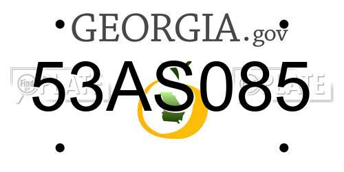 53AS085 Georgia License Plate