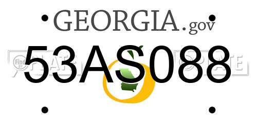 53AS088 Georgia License Plate