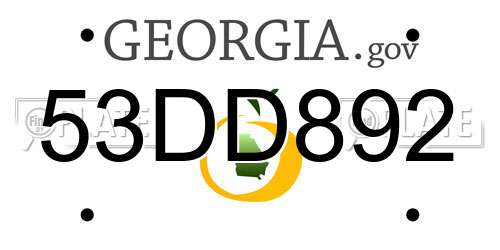53DD892 Georgia License Plate
