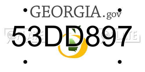 53DD897 Georgia License Plate