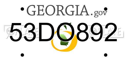 53DO892 Georgia License Plate