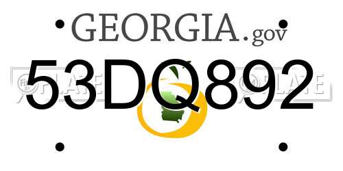 53DQ892 Georgia License Plate