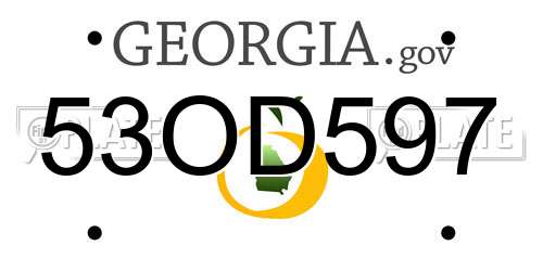 53OD597 Georgia License Plate