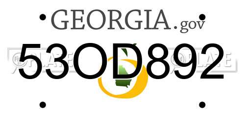 53OD892 Georgia License Plate