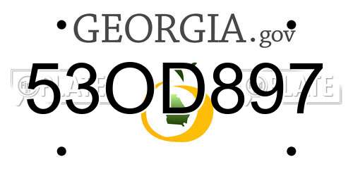 53OD897 Georgia License Plate