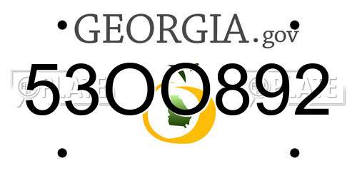 53OO892 Georgia License Plate