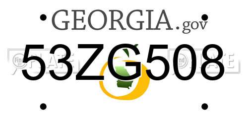 53ZG508 Georgia License Plate