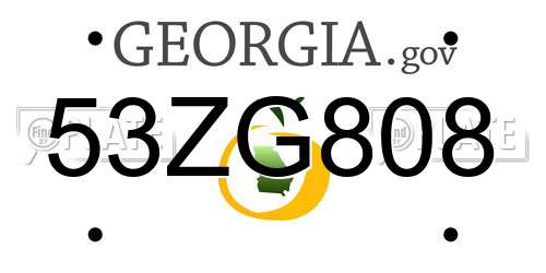 53ZG808 Georgia License Plate