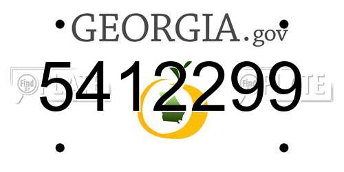5412299 Georgia License Plate