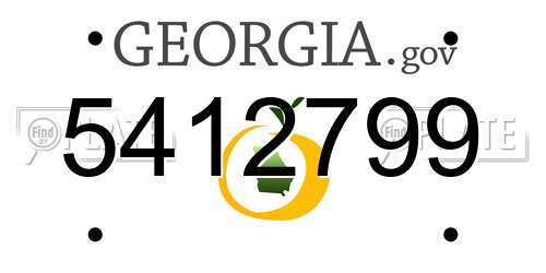 5412799 Georgia License Plate