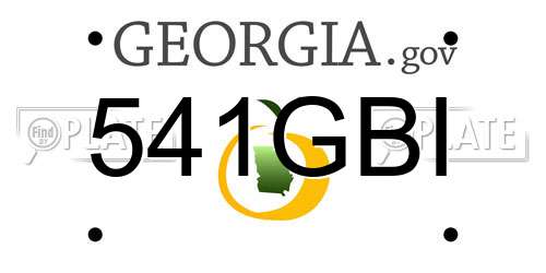 541GBI Georgia License Plate