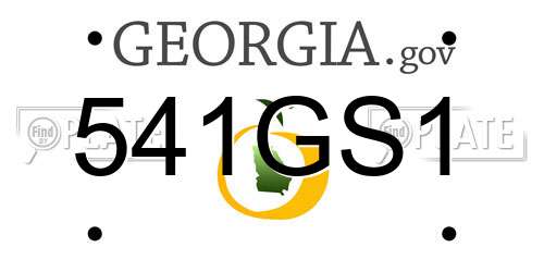 541GS1 Georgia License Plate