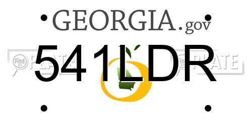 541LDR Georgia License Plate