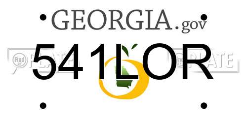 541LOR Georgia License Plate
