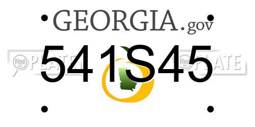 541S45 Georgia License Plate
