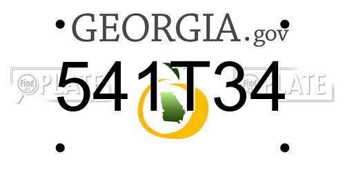 541T34 Georgia License Plate