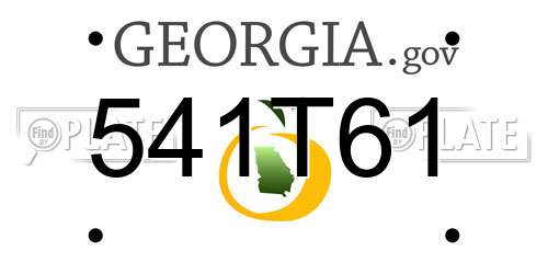 541T61 Georgia License Plate