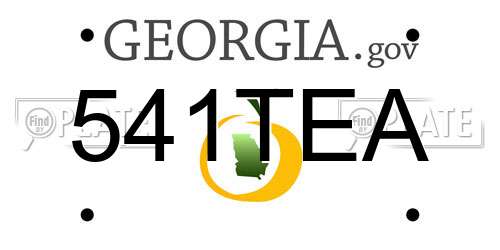 541TEA Georgia License Plate