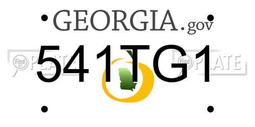 541TG1 Georgia License Plate