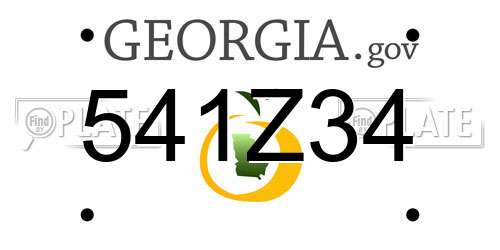 541Z34 Georgia License Plate