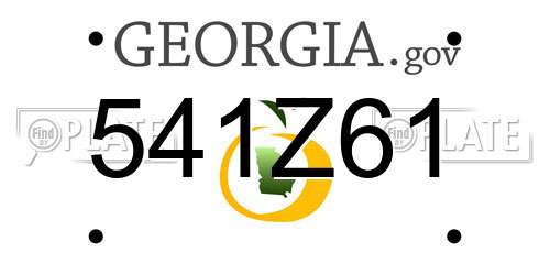 541Z61 Georgia License Plate