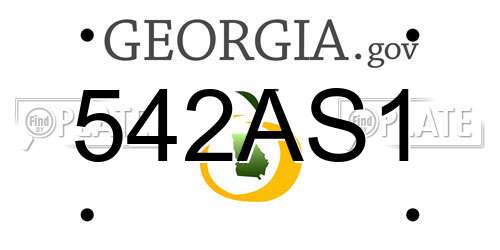 542AS1 Georgia License Plate