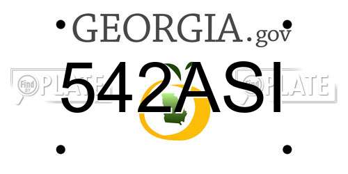 542ASI Georgia License Plate