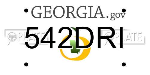 542DRI Georgia License Plate